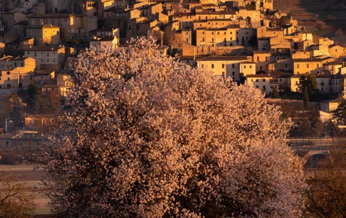 Navelli panorama con mandorlo